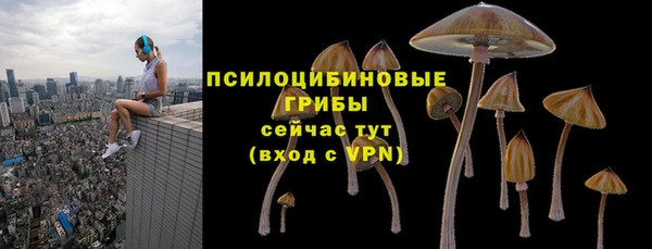 первитин Абинск