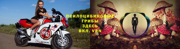 первитин Осинники