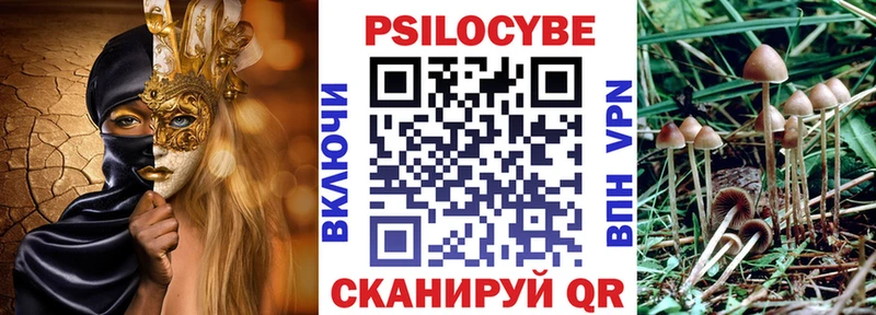 Псилоцибиновые грибы ЛСД  где купить наркоту  Железноводск 